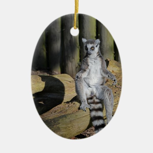 Ring Tailed Lemur Drusillas Park Keramisch Ornament (Voorkant)