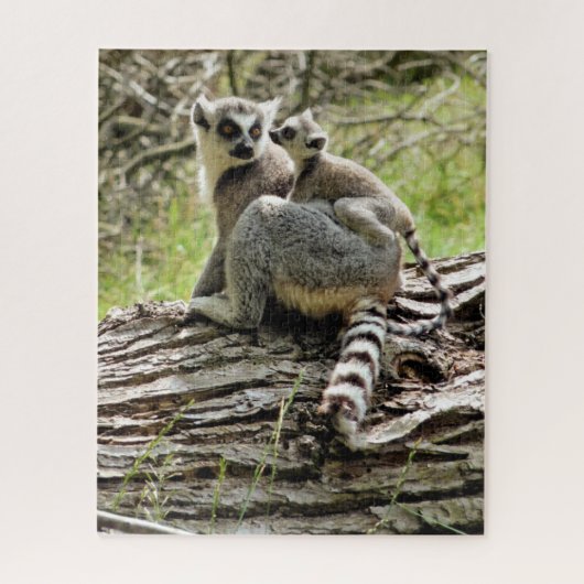 RING-TAILED LEMUR LEGPUZZEL (Verticaal)