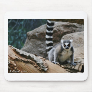 RIng Tailed Lemur Muismat