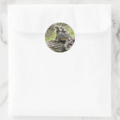 RING-TAILED LEMUR RONDE STICKER (Tas)
