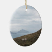 Ring van Kerry, Ierland Keramisch Ornament (Rechts)