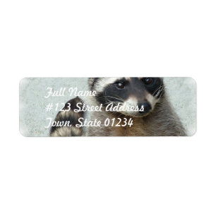 Ringed raaccoon-maillabels etiket
