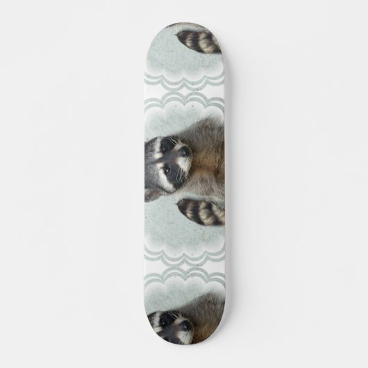 Ringed Raccoon Skateboard (Voorkant)