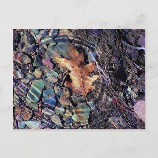 ringen van helder water briefkaart (Voorkant)