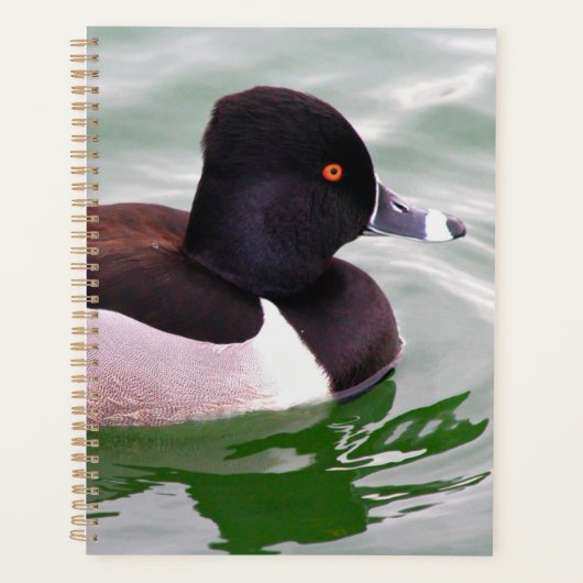 Ringhalsfuut Planner (Voorkant)