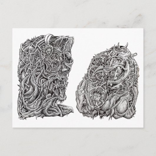 Ringhoofden Briefkaart (Voorkant)