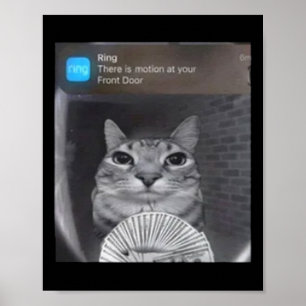 Ringkat met bewegingsmeme poster
