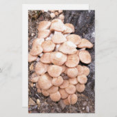 ringless honey paddenstoelen briefpapier (Voorkant / Achterkant)