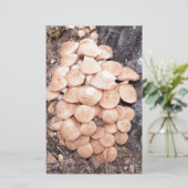 ringless honey paddenstoelen briefpapier (Staand voorkant)