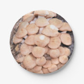 ringless honey paddenstoelen op een papieren bord (Voorkant)