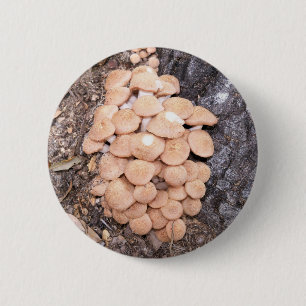 ringless honey paddenstoelen ronde button 5,7 cm