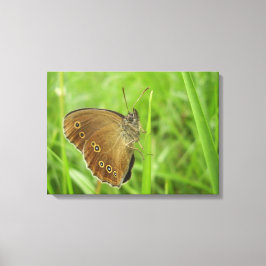 Ringlet Butterfly Canvas Print