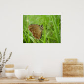 Ringlet Butterfly Poster (Keuken)