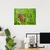 Ringlet Butterfly Poster (Thuiskantoor)