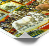 Ringling Bros' / Aviary & Aquarium Poster (Hoek)