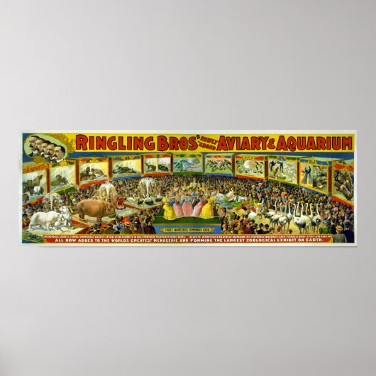 Ringling Bros' / Aviary & Aquarium Poster (Voorkant)