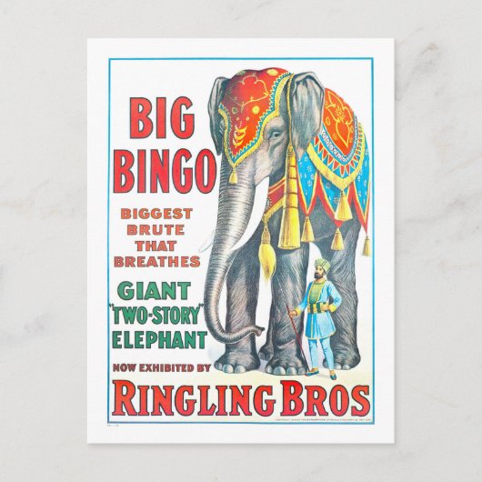  Ringling Bros Circus AD - Reuzenolifant Briefkaart (Voorkant)