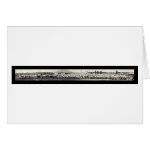 Ringling Bros Horses Foto 1914