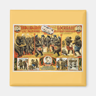 Ringling Bros Pachyderms1899 Magneet