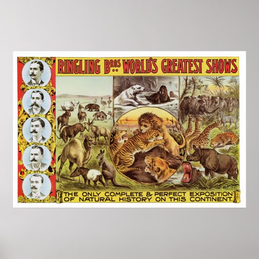 Ringling Bros. Wild Animal Advertisement 1900's Poster (Voorkant)