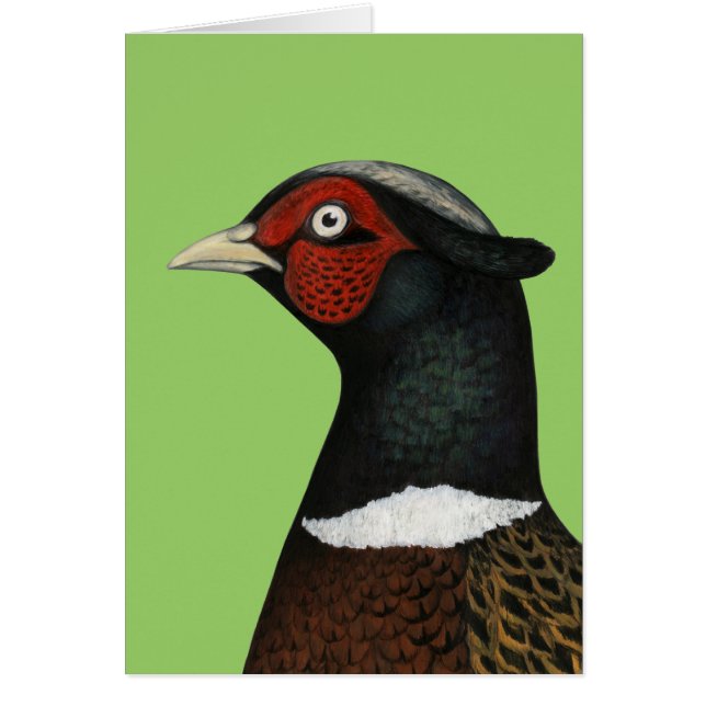 Ringneck Pheasant Head (Devant)