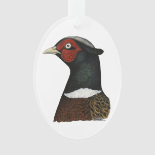 Ringneck Pheasant Head