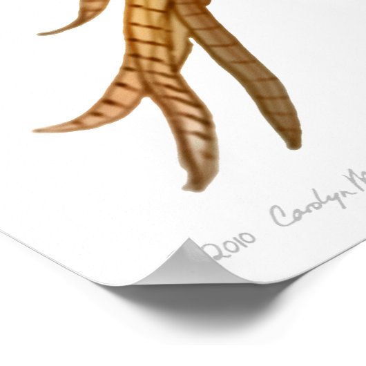 Ringneck Pheasant in Flight Print (Hoek)