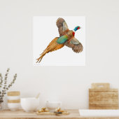 Ringneck Pheasant in Flight Print (Keuken)