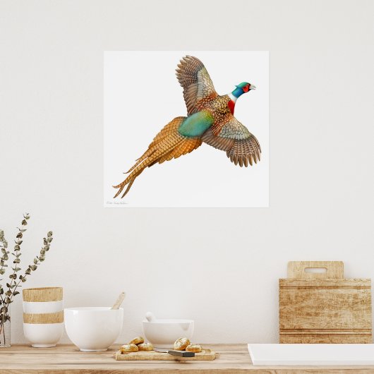 Ringneck Pheasant in Flight Print (Keuken)