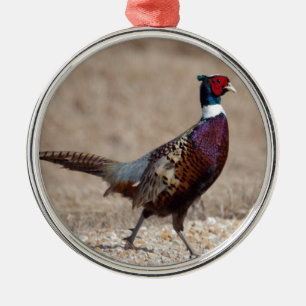 Ringnecked fazant metalen ornament