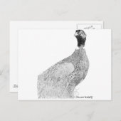 Ringnek Pheasant Briefkaart (Voorkant / Achterkant)