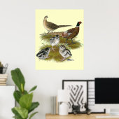 Ringnek Pheasant Familie Poster (Thuiskantoor)