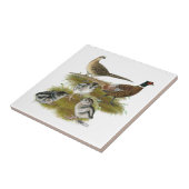 Ringnek Pheasant Family Tegeltje (Zijkant)