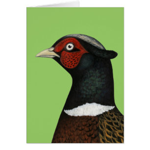 Ringnek Pheasant Head