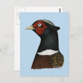 Ringnek Pheasant Head Briefkaart (Voorkant / Achterkant)