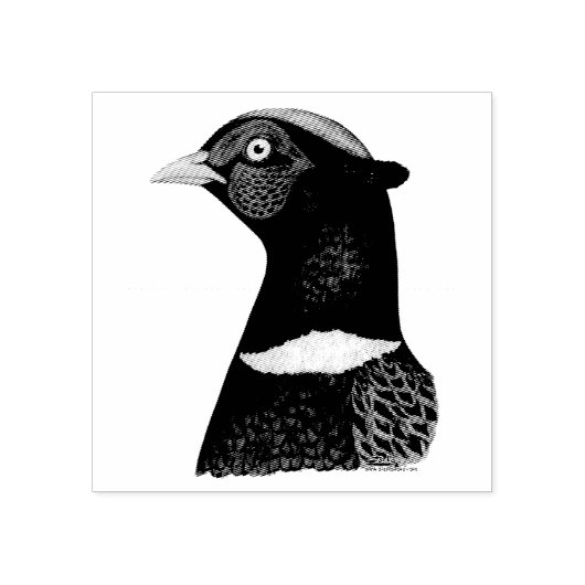 Ringnek Pheasant Head Rubberstempel (Afrduk)