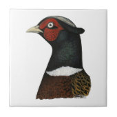 Ringnek Pheasant Head Tegeltje (Voorkant)