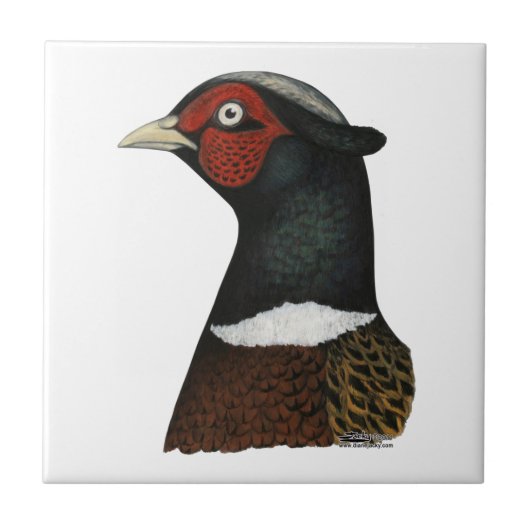 Ringnek Pheasant Head Tegeltje (Voorkant)