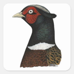 Ringnek Pheasant Head Vierkante Sticker