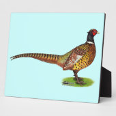 Ringnek Pheasant Rooster Fotoplaat (Zijkant)