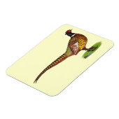 Ringnek Pheasant Rooster Magneet (Linkerzijde)