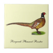 Ringnek Pheasant Rooster Tegeltje (Voorkant)