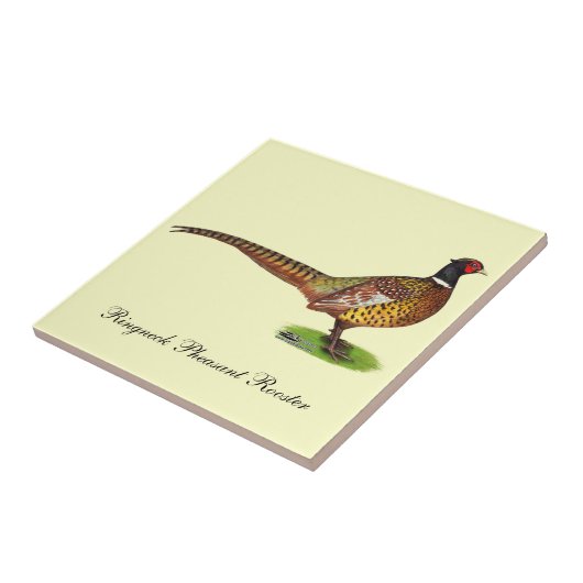Ringnek Pheasant Rooster Tegeltje (Zijkant)