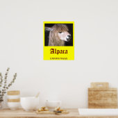 Ringo het Poster van Alpaca (Keuken)