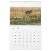 Ringo le calendrier du laboratoire de chocolat (Mar 2026)