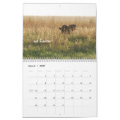 Ringo le calendrier du laboratoire de chocolat (Mar 2027)