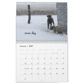 Ringo le calendrier du laboratoire de chocolat (Jan 2027)