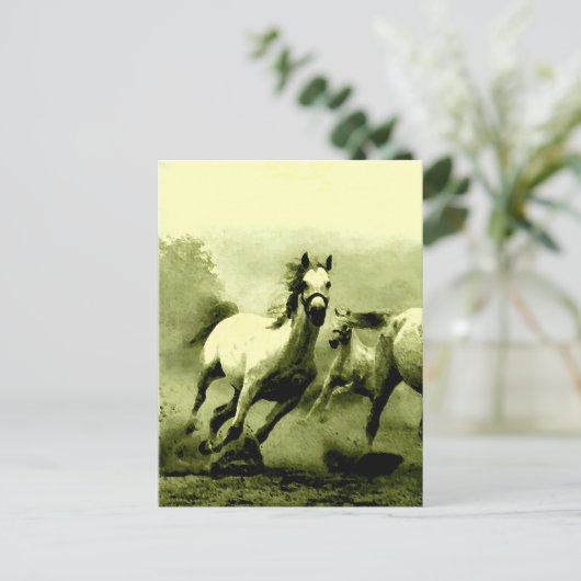 Ringpaarden Briefkaart (Staand voorkant)