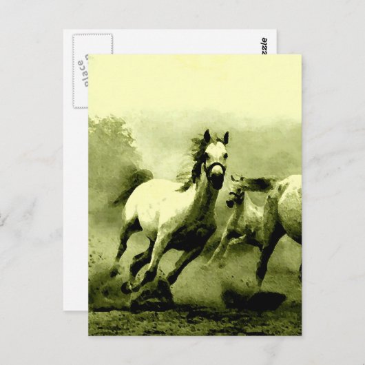 Ringpaarden Briefkaart (Voorkant / Achterkant)