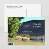 Ringpaarden in Murrieta, CA Briefkaart (Voorkant / Achterkant)